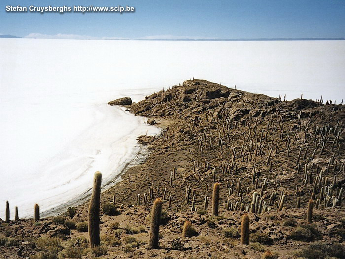 Uyuni - Isla Pescadores A surrealistic view; in the middle of the huge salt plain you can see an "island" dotted with gigantic cactusses up to 10 meters. Stefan Cruysberghs